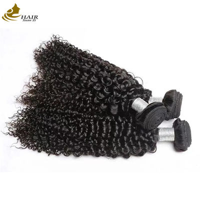 بوهيميا العذراء البرازيلية ريمي حزم الشعر البشري مع النسيج المزدوج